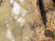 Outdoor Blowjob On Knees With Husband And Shaving Wife Hot Pussy When She Watching Porn 2/16