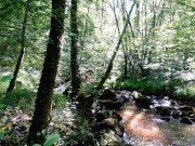  NEIGHBOR OUTDOOR AT THE RIVER