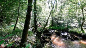  NEIGHBOR OUTDOOR AT THE RIVER