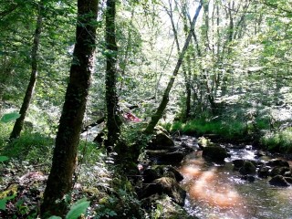 NEIGHBOR OUTDOOR AT THE RIVER