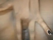 පුකේ හිලට ඇඟිල්ල දාලා සැපක් ගත්තා - Asshole Fingering Fun 3/16