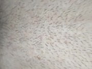 Amateur homemade anal close up 11/16