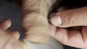 Foreskin Play