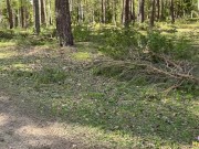 A strange girl met me just for sex and asked me to fuck her right in the woods 3/16