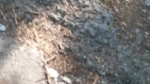 Taking a piss on a mountain road