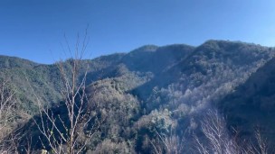 Cute guy suck a dick for money in the extreme