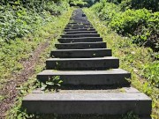 Slinky Stairs Upshorts Peek-n-Pee 12/16