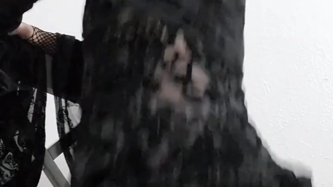 The Knotted Equine gets real deep in Goth Femboy - Vidéo de sexe gratuite - RedTube