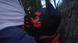 2 PUPPY DANS LES BOIS