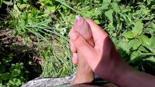 I went out to jerk off in a field by the road.Beautiful cum with a good dick