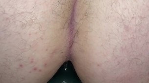 Sitting on my pup