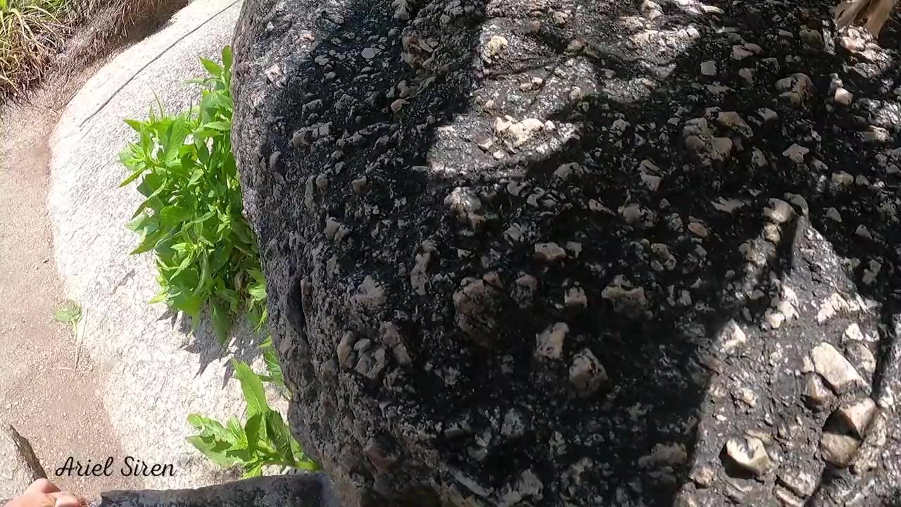 Vlog de acampamento - Ele GOZOU DENTRO da minha BUCETINHA - Free Sex Video - RedTube