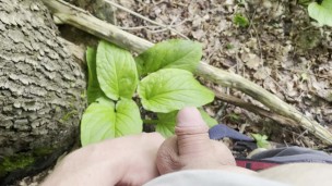Cute Tiny Dick Pissing in the Woods [Amateur HD POV]