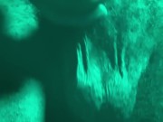 The Perfect Black Cock