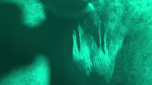 The Perfect Black Cock