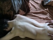 Woke up the girl and fucked her - Part 1 - Cunilingus 4/16