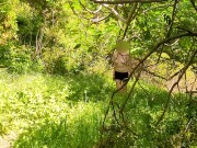 Pale Redhead Hikes Nude And Spreads Herself Open On Trail - Pepper Starks 2/16