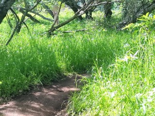 Pale Redhead Hikes Nude And Spreads Herself Open On Trail – Pepper Starks