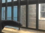 ALMOST CAUGHT JERKING OFF THROUGH THE WINDOW