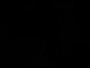 Bondage sex and hardcore dildo penetration for tied up girlfriend 1/16