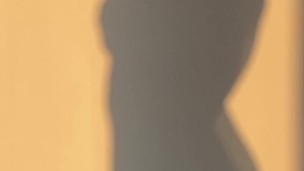 shades of seduction