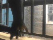 ALMOST CAUGHT 😮 PUBLIC JERKING THROUGH THE WINDOW😮😮