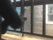 RISKY😂😂 ALMOST CAUGHT MASTURBATING THROUH THE WINDOW