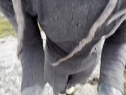 I Want to get Naughty and Suck you Dick and you Fuck my Face Until u Cum on my Face - BlowJob 12/16