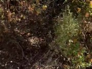 I meet a walker and I empty his balls into my mouth 1/16