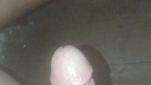 El regreso de la bestiapolla