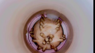 Fucking pussy fleshlight - inside view - close up cumming