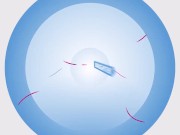 Swap To Make Amends - Trailer 1/16