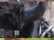 Country girl loves sucking the cum from thick chocolate 🍫 dick