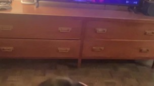 Attempting Malenia while getting a blowjob! Elden Ring NSFW gameplay