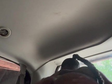 Quickie outside in the van
