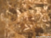 Having a Sexy Time In Exotic India 13/16