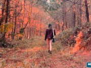 Sexy Scarlett Taylor gives lover a wild blowjob while driving 2/16