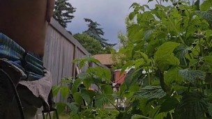 Pissing in the backyard