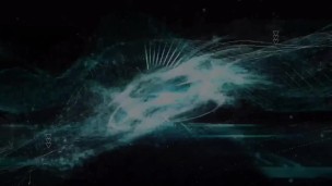 The small penis chart of humiliation