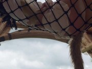 Vlog à Bali…ça finit en baise avec un mec qui m’a reconnu 5/16