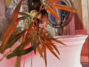 Monika Fox Takes Bath With Bubble Bath And Plays With Dildo 8/16