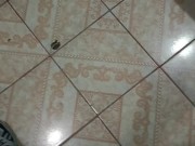 La encontré triste y sola en la noche y me ofrecí a acompañarla hasta su cuarto (Real chica infiel) 6/16