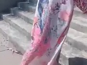 Come with me.... 4/16