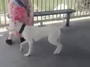 Come with me.... 9/16