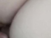 i played with kittys pussy then mounted and bred her 14/16