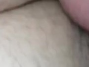 i played with kittys pussy then mounted and bred her 16/16