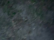 POV Version Nite in Park 12/16