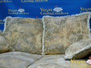 Ashley Porn Casting In Vegas - Tattooed Hot Blonde Milf Doggystyle Pov Sucking - Solo Masturbation - Latex Bondage 1/16