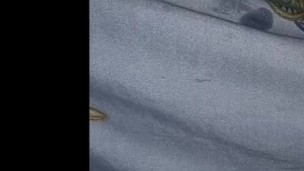Fucking my ass