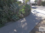 Gagged Hard Ass Packed Arya Fae Ends Creampied! 4/16